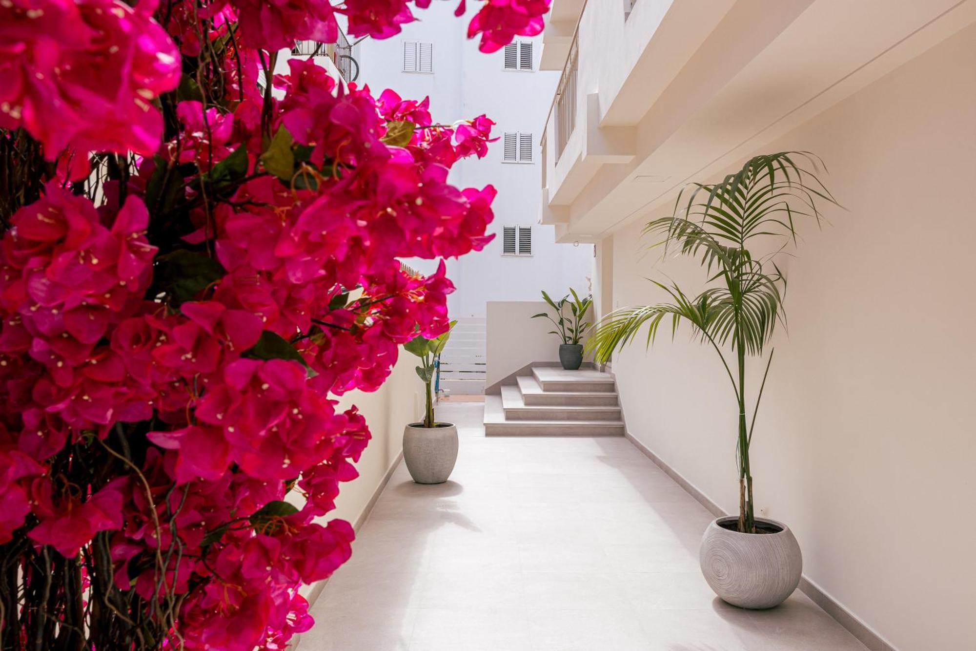 Malacosta A - Mc Apartments Ibiza Eksteriør billede
